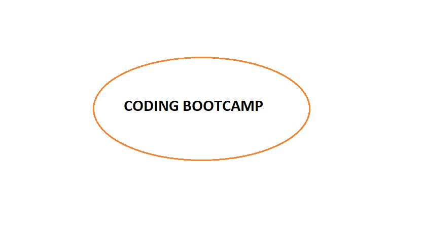 How Post-Graduate Education Will Change in the Future Due to Coding Bootcamps